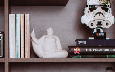 Faire de la bibliothèque la pièce maîtresse du salon