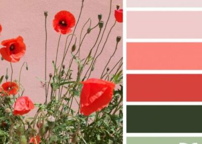 Moderniser votre maison et choisir ses couleurs de peinture